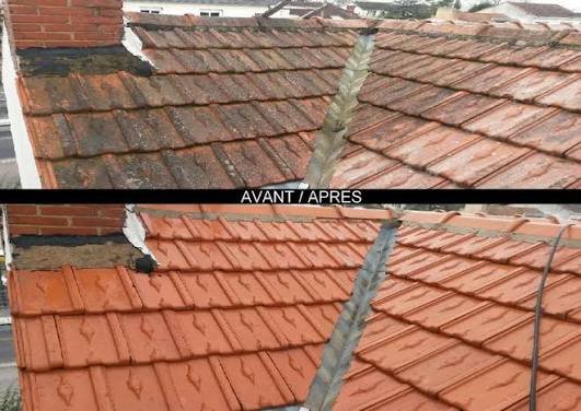 émousse toiture à bordes 64